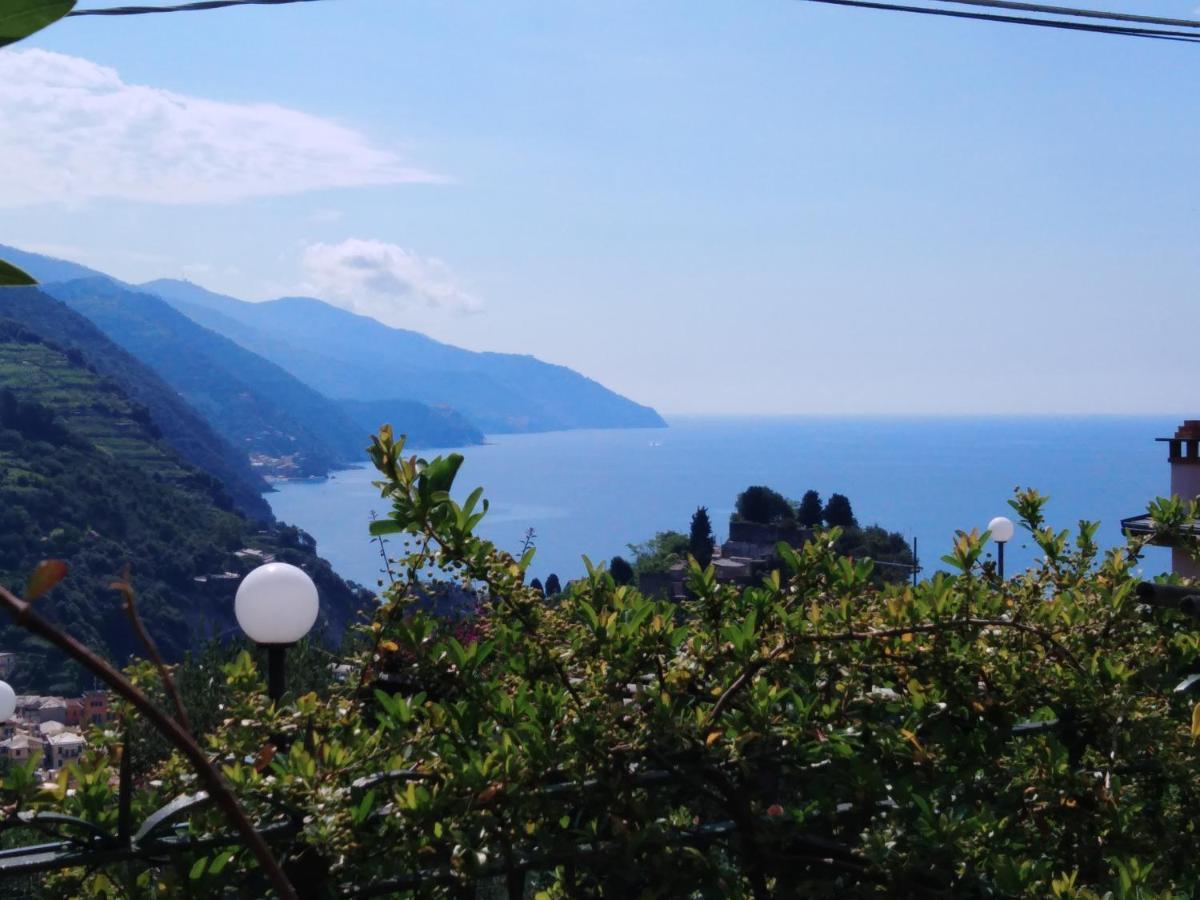 La Cinque Terre Monterosso Guest house