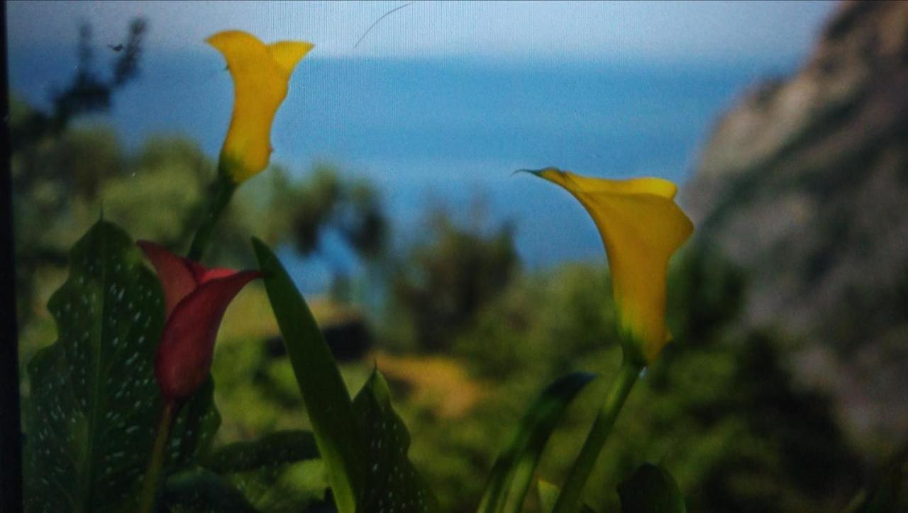 La Cinque Terre Monterosso Guest house
