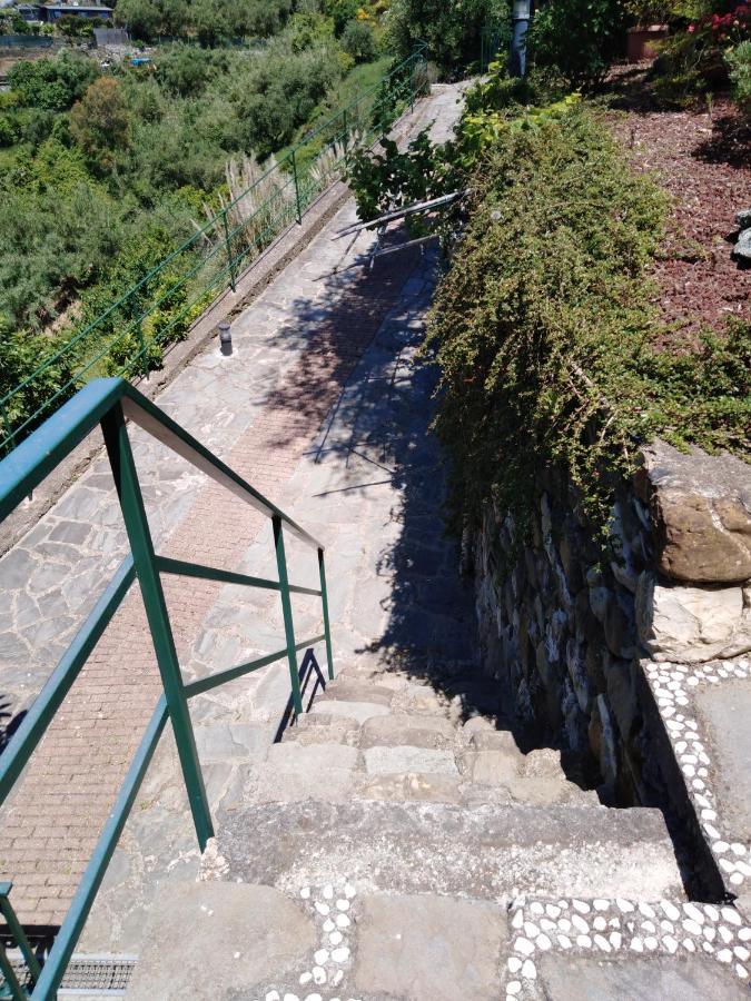 Guest house La Cinque Terre Monterosso Monterosso al Mare