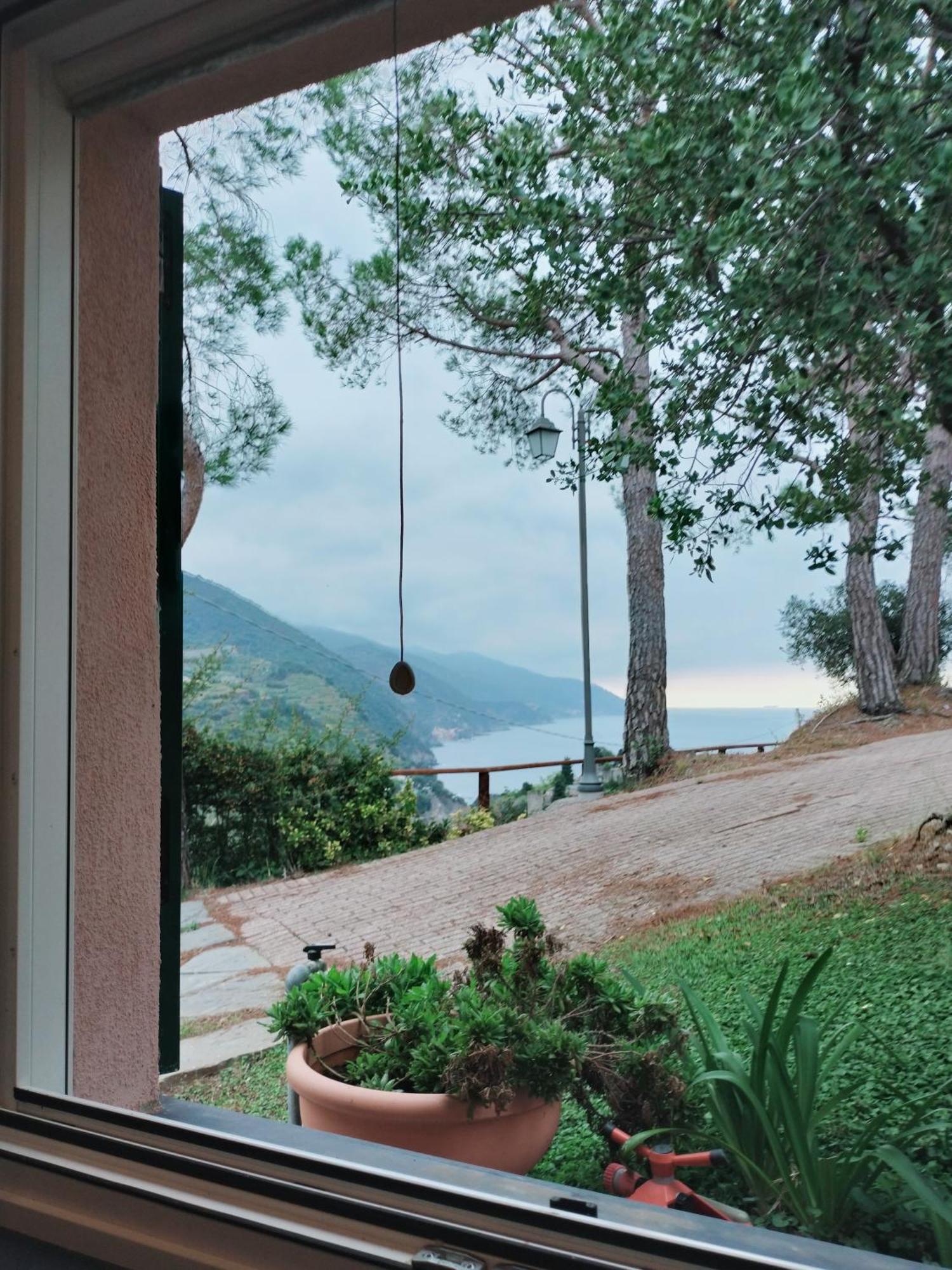 La Cinque Terre Monterosso Guest house *